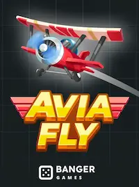 Avia Fly crash at YAMANPAWS COM