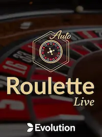 Roulette Live at YAMANPAWS COM